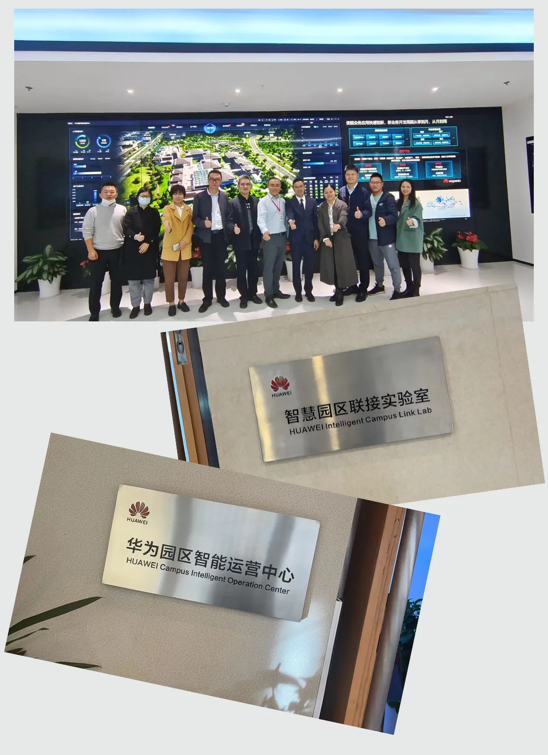 成熟妇人A片免费看网站