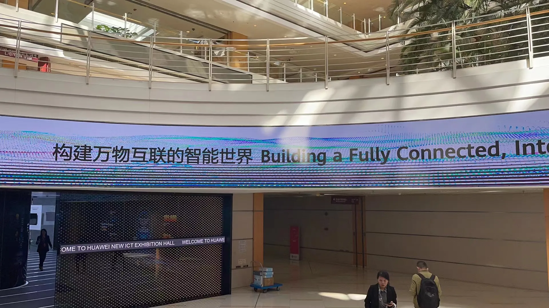 成熟妇人A片免费看网站