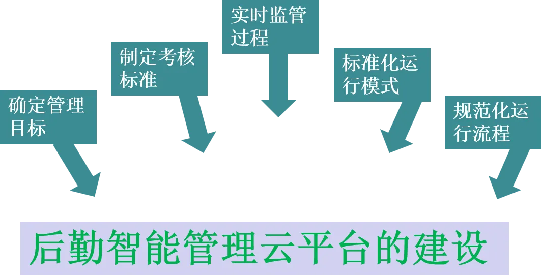 成熟妇人A片免费看网站