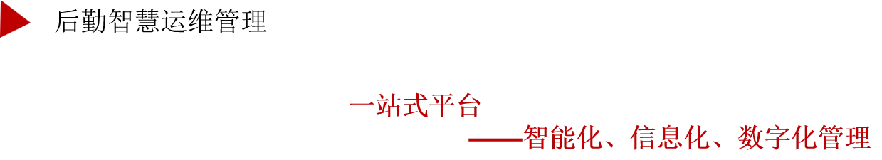 成熟妇人A片免费看网站