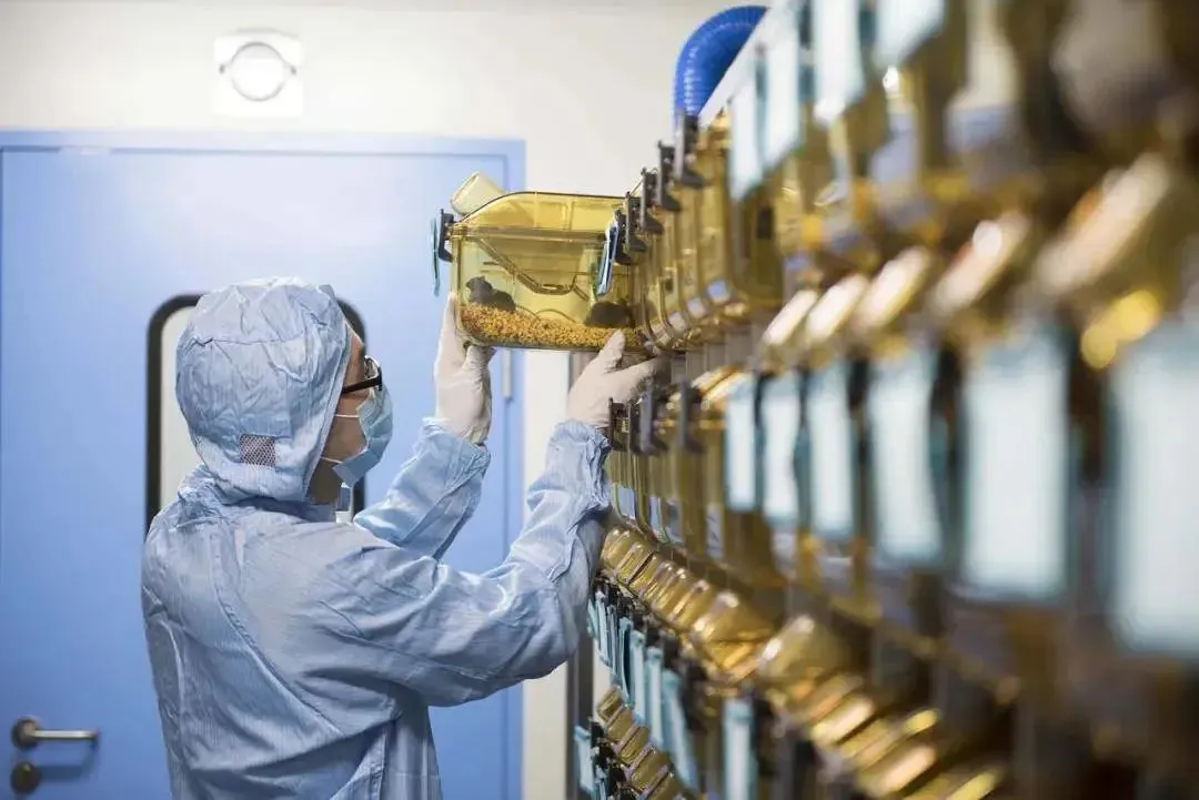 粗大挺进潘金莲身体动物实验室空调自控系统