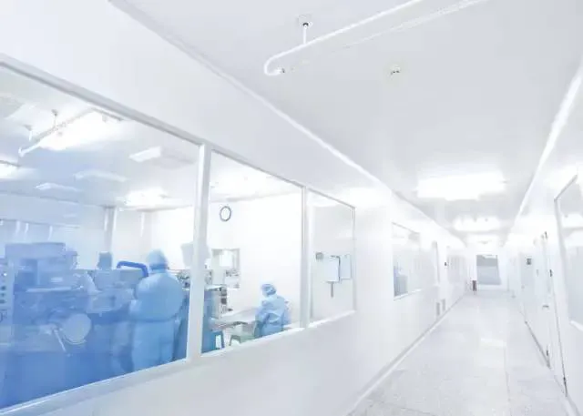 成熟妇人A片免费看网站